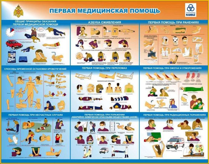 Стенд - «Первая медицинская помощь»