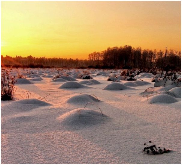 ПЕРЕДВИЖЕНИЕ ПО БОЛОТАМ В ЗИМНЕЕ ВРЕМЯ: